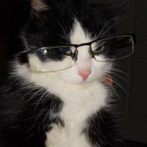 Meet your Posher, My name is nathaniel